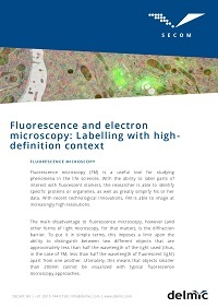 FM and EM: Labelling with high-definition context FM and EM: Labelling with high-definition context