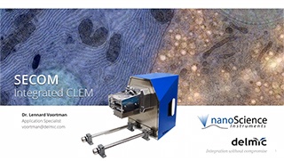 Correlative microscopy webinar Correlative microscopy webinar