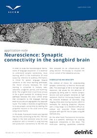 Neuroscience synaptic connectivity in the songbird brain application note Neuroscience synaptic connectivity in the songbird brain application note