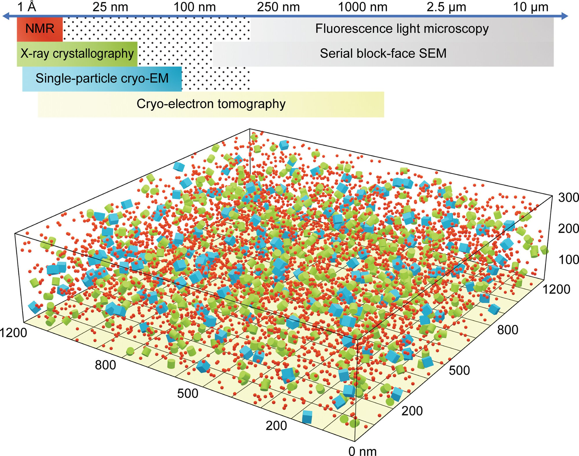 Imaging across scales and integration of high-resolution structures into large volume data