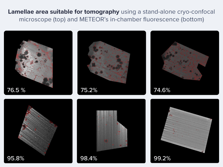 Whitepaper_Cryo-FLM-Quality_Text-and-Image