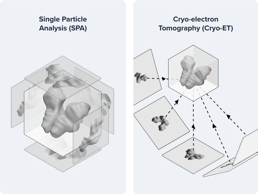 Whitepaper_Everything-Cryo-EM_Text-and-Image