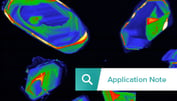 Thumbnail SPARC Application note  Zircons